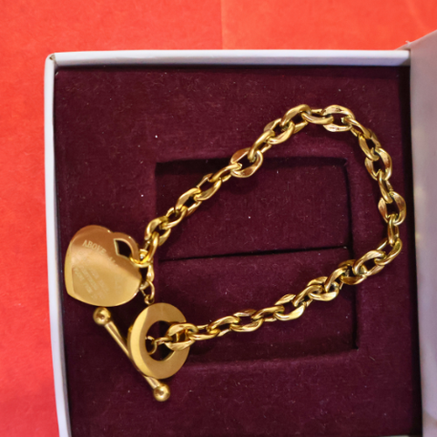 Amoura Heart Lock Chain Bracelet