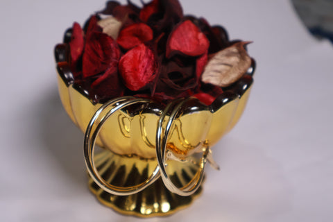 Tara Double Hoops Earrings
