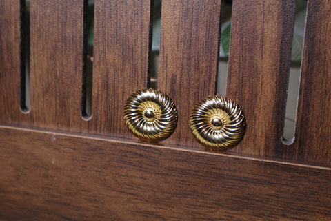 Aabha  Spiral Swirl Stud Earrings