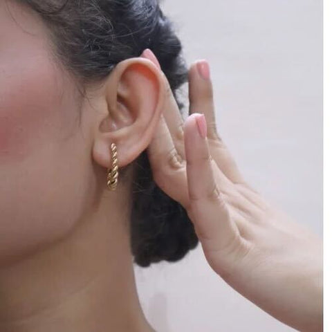 Arin Twisted Rectangle Hoops